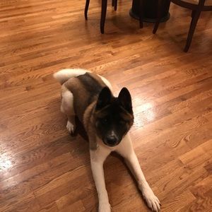 Meet your Posher, Renee